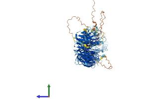 AlphaFold protein structure predicition of Human Recombinant WDR27 Protein, UniprotID A2RRH5