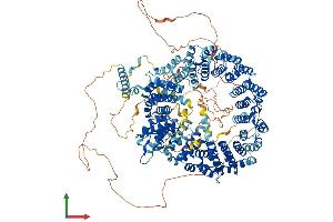 Protein Structure (PS) image for Splicing Factor 3b, Subunit 1, 155kDa (SF3B1) (AA 1-1304) protein (His tag) (ABIN7555439)
