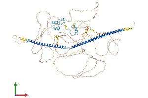 Protein Structure (PS) image for Retinoblastoma Binding Protein 8 (RBBP8) (AA 1-893) protein (His tag) (ABIN7564302)