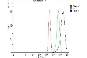 Flow Cytometry analysis of MCF-7 cells using anti-AP2M1 antibody (ABIN7602628).