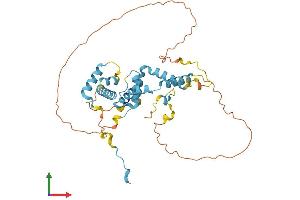 AlphaFold protein structure predicition of Mouse Recombinant Snapc2 Protein, UniprotID Q91XA5
