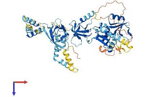 MPP3 Protein (AA 1-568) (His tag)