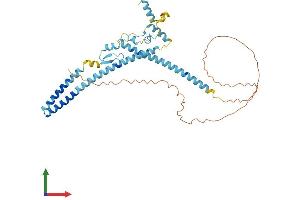Protein Structure (PS) image for LUC7-Like 2 (LUC7L2) (AA 1-392) protein (His tag) (ABIN7549032)