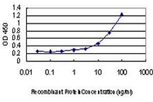 Detection limit for recombinant GST tagged NUDT10 is approximately 1ng/ml as a capture antibody.