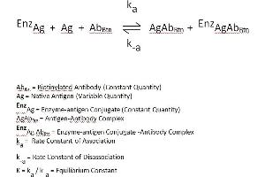 The essential reagents required for a enzyme immunoassay include antibody, enzyme-antigen conjugate and native antigen. (Cortisol CLIA Kit)