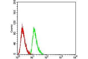 Flow cytometric analysis of Hela cells using RAN mouse mAb (green) and negative control (red). (RAN Antikörper  (AA 1-216))