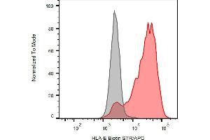 Flow cytometry analysis (surface staining) of HLA-E transfectants with anti-human HLA-E (clone MEM-E/07) biotin antibody (red), streptavidin-APC (red, concentration in sample 4 μg/mL), with blank sample (grey). (HLA-E Antikörper  (Biotin))