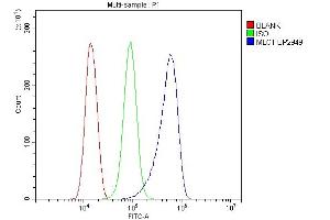 Flow Cytometry analysis of THP-1 cells using anti-MLC1 antibody (ABIN7599326). (MLC1 Antikörper  (AA 1-377))