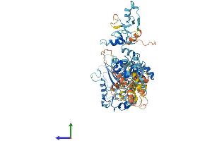 Protein Structure (PS) image for Zinc Finger, FYVE Domain Containing 1 (ZFYVE1) (AA 1-777) protein (His tag) (ABIN7545443)