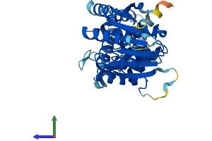 AlphaFold protein structure predicition of Mouse Recombinant Eef2kmt Protein, UniprotID Q3UZW7 (EEF2KMT (AA 1-335) protein (His tag))