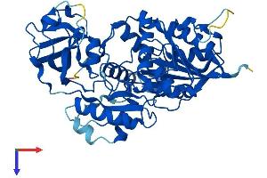 NSUN6 Protein (AA 1-469) (His tag)