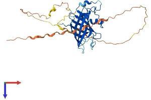 GID4 Protein (AA 1-300) (His tag)