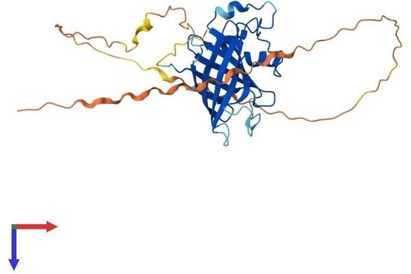 GID4 Protein (AA 1-300) (His tag)