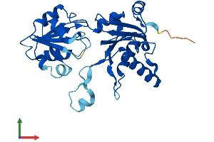 Protein Structure (PS) image for DPH5 Homolog (DPH5) (AA 1-281) protein (His tag) (ABIN7560676)