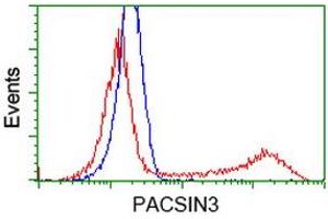 Image no. 3 for anti-Protein Kinase C and Casein Kinase Substrate in Neurons 3 (PACSIN3) antibody (ABIN1500014) (PACSIN3 Antikörper)