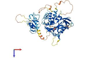 USP3 Protein (AA 1-520) (His tag)