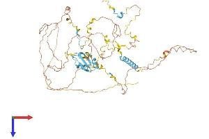 EIF4B Protein (AA 1-611) (His tag)
