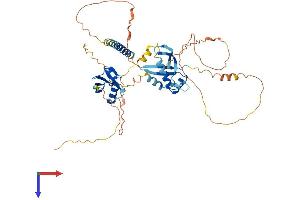 MIDN Protein (AA 1-468) (His tag)