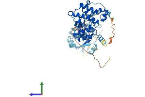 Protein Structure (PS) image for rho GTPase Activating Protein 8 (ARHGAP8) (AA 1-425) protein (His tag) (ABIN7560722)
