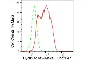 Flow cytometric analysis of Cyclin A1/A2 expression in HAP-1 cells using Cyclin A1/A2 antibody (ABIN7798185), 1:2,000). (Rekombinanter Cyclin A1/A2 Antikörper)