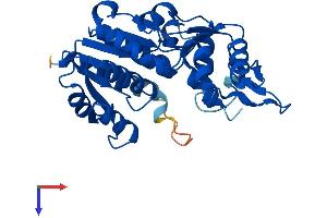 NMRAL1 Protein (AA 1-309) (His tag)