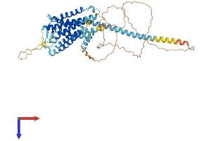 GPR101 Protein (AA 1-508) (His tag)