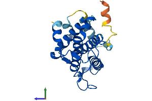 Protein Structure (PS) image for MOB Kinase Activator 3B (MOB3B) (AA 1-216) protein (His tag) (ABIN7549452)