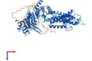 ABCG4 Protein (AA 1-646) (His tag)