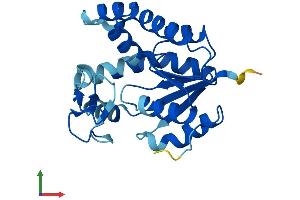 AlphaFold protein structure predicition of Mouse Recombinant Ak4 Protein, UniprotID Q9WUR9