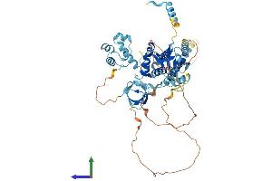 Protein Structure (PS) image for EPS8-Like 3 (EPS8L3) (AA 1-593) protein (His tag) (ABIN7547370)