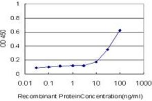 Detection limit for recombinant GST tagged PTPRE is approximately 10ng/ml as a capture antibody. (PTPRE Antikörper  (AA 511-600))