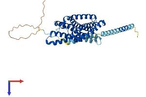 P2RY1 Protein (AA 1-373) (His tag)