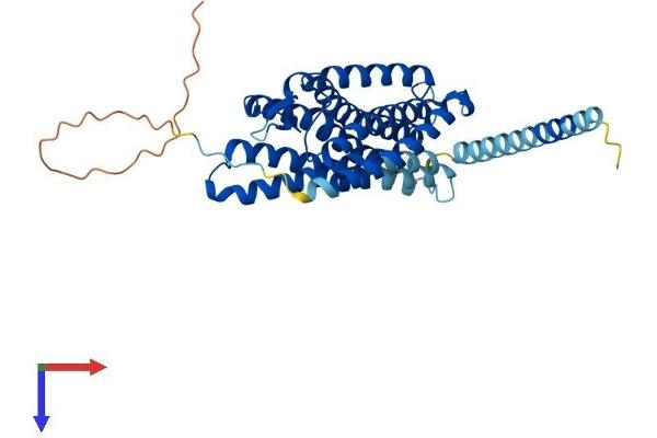 P2RY1 Protein (AA 1-373) (His tag)