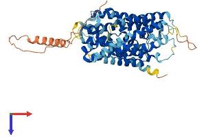 SLC38A1 Protein (AA 1-487) (His tag)