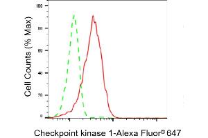 Flow cytometric analysis of Checkpoint kinase 1 expression in HepG2 cells using Checkpoint kinase 1 antibody (ABIN7798036), 1:2,000). (Rekombinanter CHEK1 Antikörper)