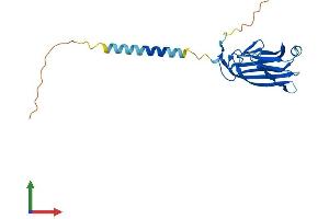 Protein Structure (PS) image for Tumor Necrosis Factor (Ligand) Superfamily, Member 4 (TNFSF4) (AA 1-198) protein (His tag) (ABIN7563264)