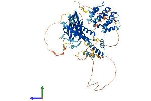 Protein Structure (PS) image for Golgi-Associated, gamma Adaptin Ear Containing, ARF Binding Protein 1 (GGA1) (AA 1-639) protein (His tag) (ABIN7547988)