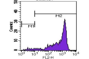 Flow Cytometry (FACS) image for anti-CD45RB (CD45RB) antibody (PE) (ABIN2144902) (CD45RB Antikörper  (PE))
