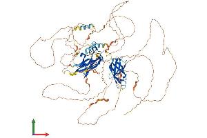 Protein Structure (PS) image for Nuclear Factor of Activated T-Cells, Cytoplasmic, Calcineurin-Dependent 1 (NFATC1) (AA 1-943) protein (His tag) (ABIN7554751)