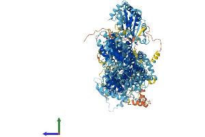 Protein Structure (PS) image for Adenylate Cyclase 10 (Soluble) (ADCY10) (AA 1-1614) protein (His tag) (ABIN7564488)
