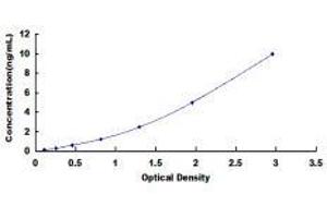 ELISA image for Fatty Acid Transport Protein 1 (FATP1) ELISA Kit (ABIN436261)