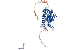 AlphaFold protein structure predicition of Human Recombinant ZDHHC20 Protein, UniprotID Q5W0Z9