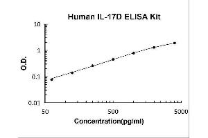 Interleukin 17D (IL17D) ELISA Kit