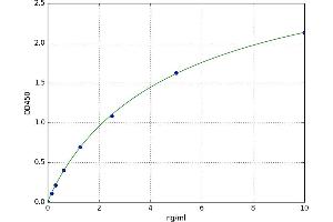A typical standard curve