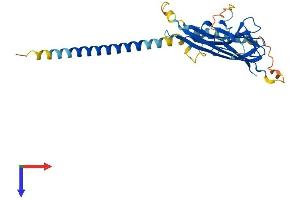 Protein Structure (PS) image for Tumor Necrosis Factor (Ligand) Superfamily, Member 10 (TNFSF10) (AA 1-291) protein (His tag) (ABIN7563368)