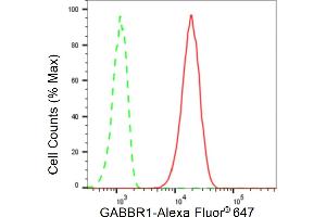 Flow cytometric analysis of GABBR1 expression in C2C12 cells using GABBR1 antibody (ABIN7798690), 1:2,000). (Rekombinanter GABBR1 Antikörper)