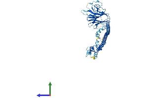 Protein Structure (PS) image for Tripartite Motif Containing 62 (TRIM62) (AA 1-475) protein (His tag) (ABIN7544722)
