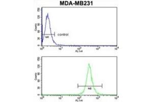 Flow Cytometry (FACS) image for anti-rho GTPase Activating Protein 18 (ARHGAP18) antibody (ABIN3003783) (ARHGAP18 Antikörper)