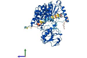 Protein Structure (PS) image for Flavin Containing Monooxygenase 4 (FMO4) (AA 1-560) protein (His tag) (ABIN7559922)
