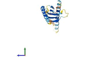 AlphaFold protein structure predicition of Mouse Recombinant Ap5s1 Protein, UniprotID Q9D742
